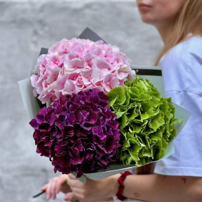 3 гортензії у букеті «Фруктові карамельки»