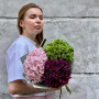 3 гортензії у букеті «Фруктові карамельки»