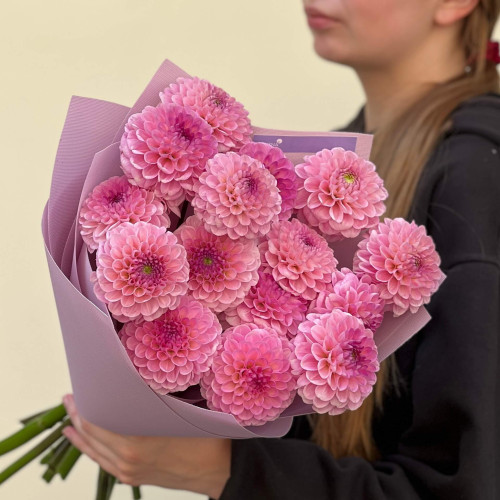 15 рожевих жоржин у букеті «Бурхливі цьомчики»