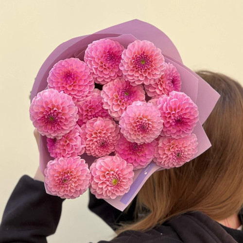 15 рожевих жоржин у букеті «Бурхливі цьомчики»