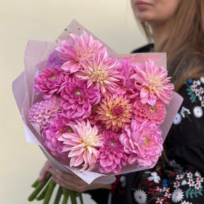 15 рожевих жоржин у букеті «Світанкові зірочки»