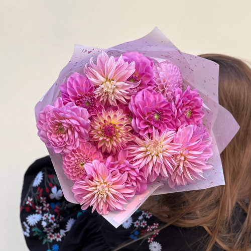 15 рожевих жоржин у букеті «Світанкові зірочки»