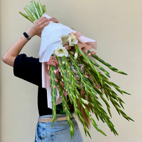 Delicate light bouquet of 23 tender gladioluses «Glistening Pink Radiance»