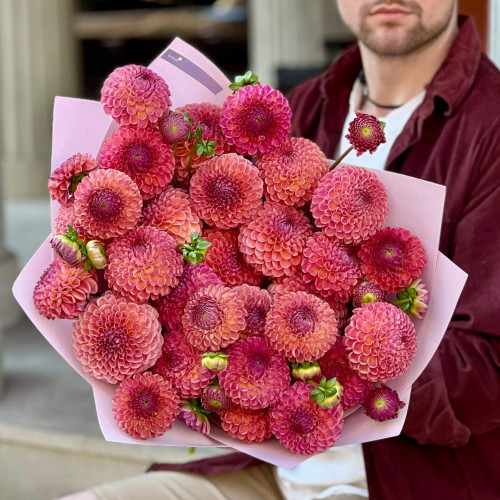 29 жоржин сорту Caitlin’s Joy у букеті «Аметринове намисто»