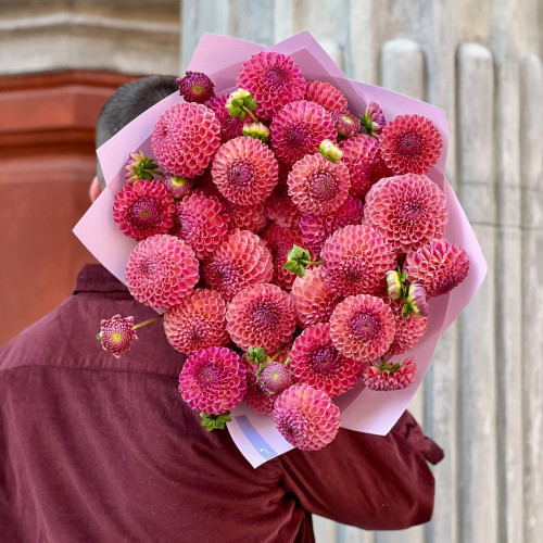 29 жоржин сорту Caitlin’s Joy у букеті «Аметринове намисто»