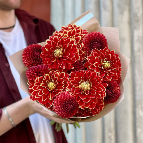 Мікс із 15 жоржин сортів Akita та Brown Sugar «Запальна Марія»