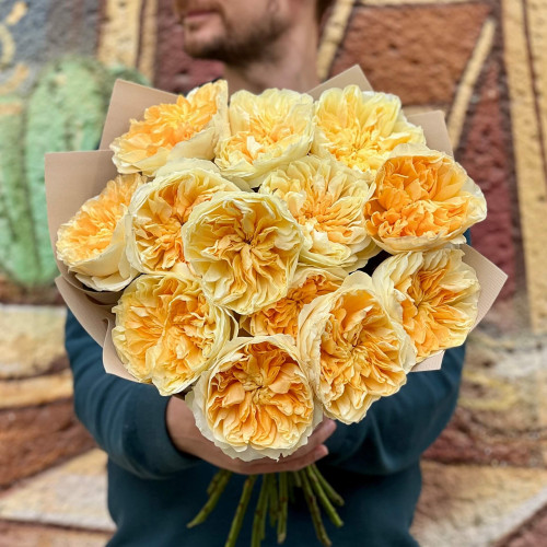 13 розкішних півонієвидних троянд Antonia Garden у букеті «Сонячні дзвони»