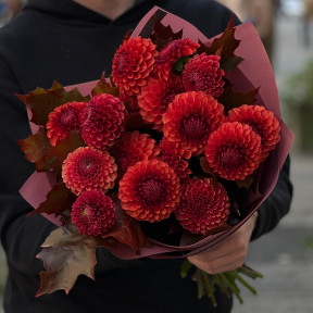 Розкішний осінній букет із жоржин Brown Sugar «Чарівна Людмила»