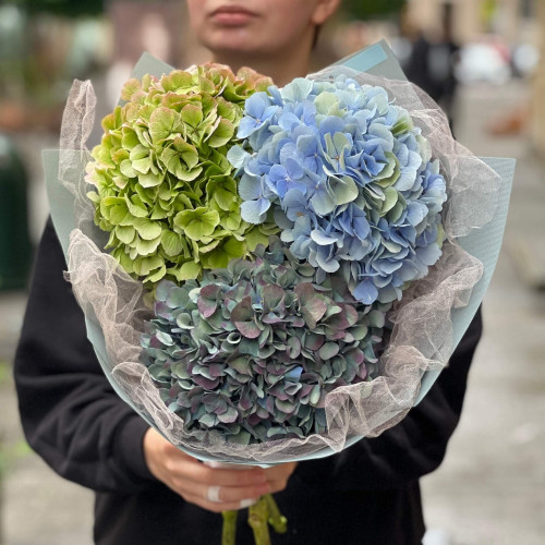 Незвичний мікс гортензій у букеті «Лісовий туман»