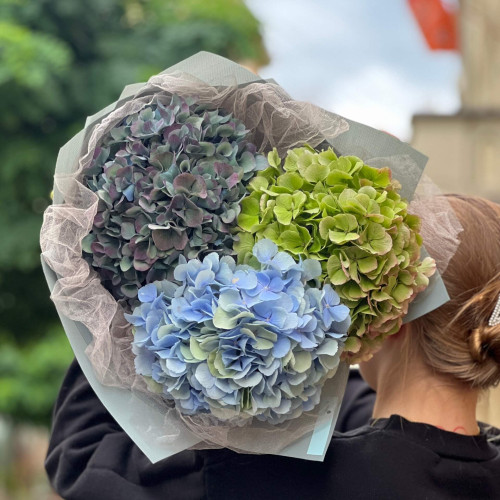 Незвичний мікс гортензій у букеті «Лісовий туман»