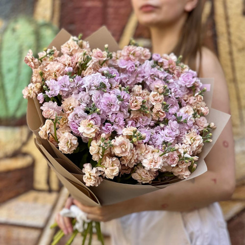 Пухнаста кущова матіола в пастельному монобукеті із 15 гілок «Барокові хвильки»