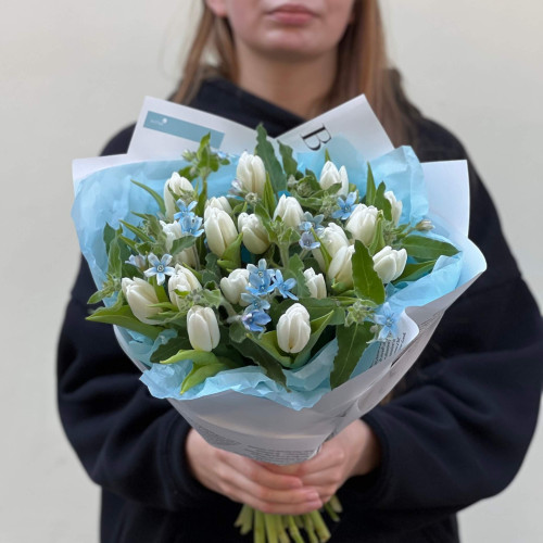 19 білосніжних тюльпанів і оксіпеталум у букеті «Лазуритові сніжинки»