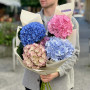 5 гортензий в букете «Осенний микс»