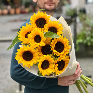 Bright bouquet of 9 helianthus «Sunny Adventures»