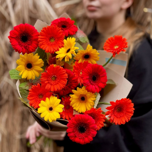 19 гербер сортів Sailor, Henry та Red Ruby у букеті «Осінні вогники»