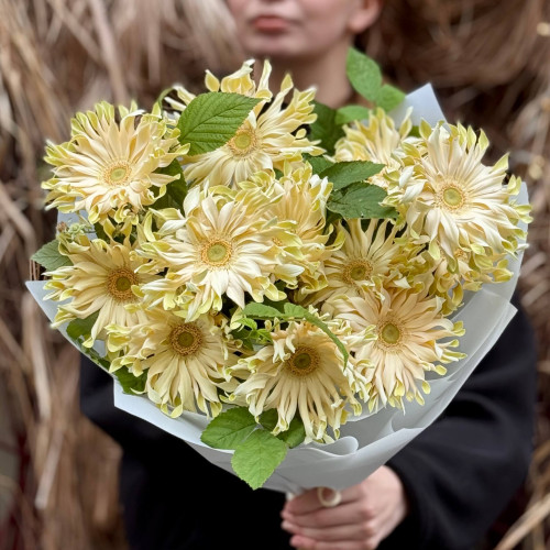 Сонячний букет з 15 герберами Pasta Carbonara «Італійська вечеря»