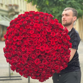 201 троянда сорту Explorer у букеті «Рубінові обійми»