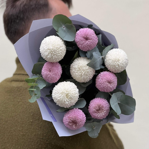 Tender mix of 9 light Momoko and Boris Becker chrysanthemums in the bouquet «Violet Ice Cream»