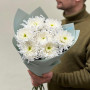 7 белых хризантем сорта Tutu в букете «Ледяное прикосновение»
