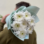 7 белых хризантем сорта Tutu в букете «Ледяное прикосновение»
