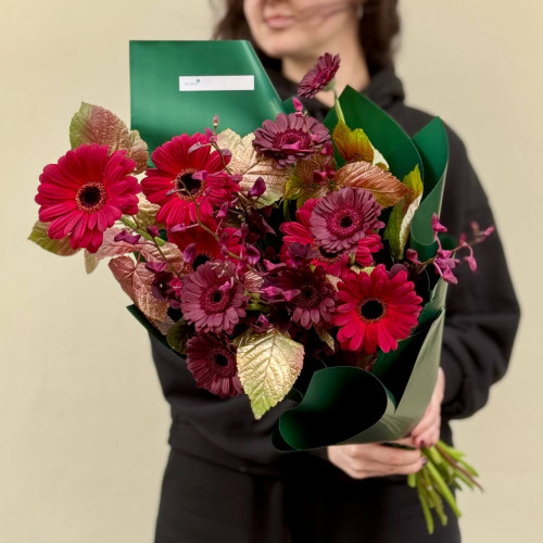 Цікавий букет з герберами Dark Night та дендробіумом «Тропічний вельвет»