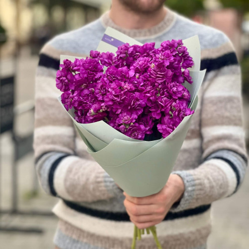 Яркий букет из 7 веточек кустовой маттиолы «Пурпурный восторг»