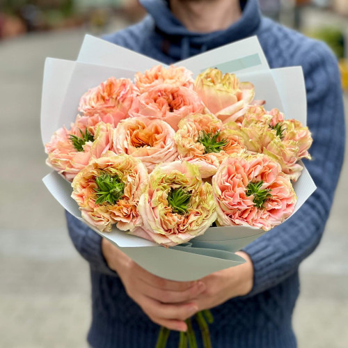 11 троянд сорту Melon X-Pression у букеті «Соковита диня»