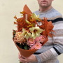 Interesting bouquet in autumn shades with amaryllis «Caramel Catherine»
