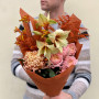 Interesting bouquet in autumn shades with amaryllis «Caramel Catherine»