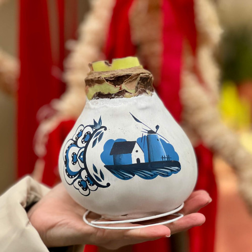 Велика розписана вручну воскова цибулина амариліса у знаменитому дизайні Delft Blue «Різдвяна розкіш»