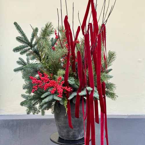 Winter composition of conifers and ilex «Christmas Fairy Tale»