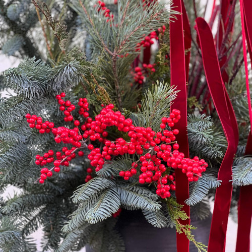 Winter composition of conifers and ilex «Christmas Fairy Tale»