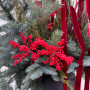 Winter composition of conifers and ilex «Christmas Fairy Tale»