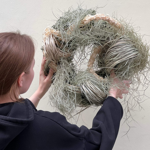 Stylish interior wreath with Tillandsia «Carpathian Whirl»