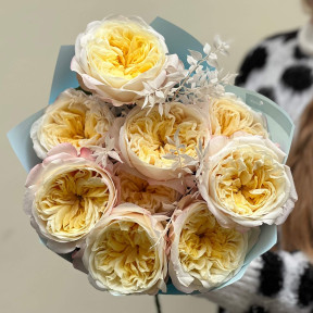 9 піоновидних троянд сорту Fatima Garden та рускус у букеті «Сонечка для Анічки»