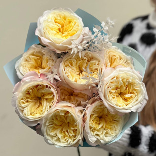 9 піоновидних троянд сорту Fatima Garden та рускус у букеті «Сонечка для Анічки»