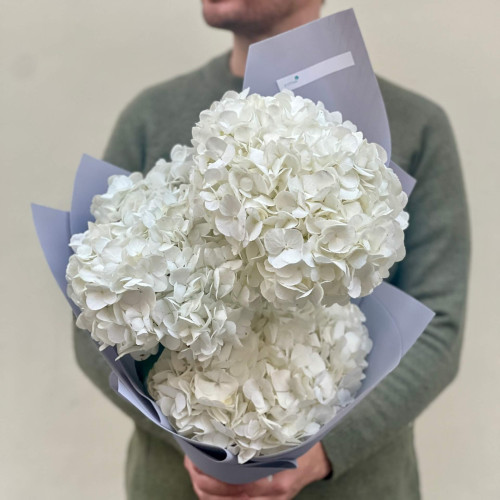 3 гортензії у букеті «Снігові хмари»