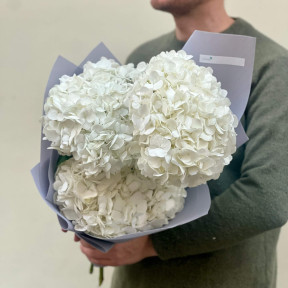 3 гортензії у букеті «Снігові хмари»