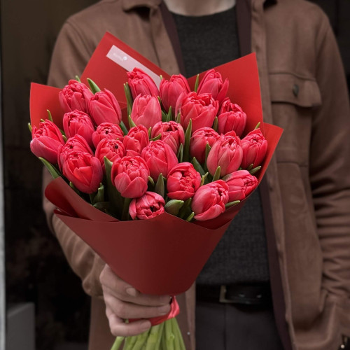 25 червоних півонієвидних тюльпанів у букеті «Яскрава Юлія»