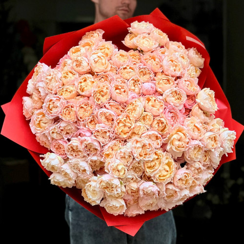 Розкішний букет із 61 гілки кущової півонієвидної троянди Juliet «Чарівні мрії»
