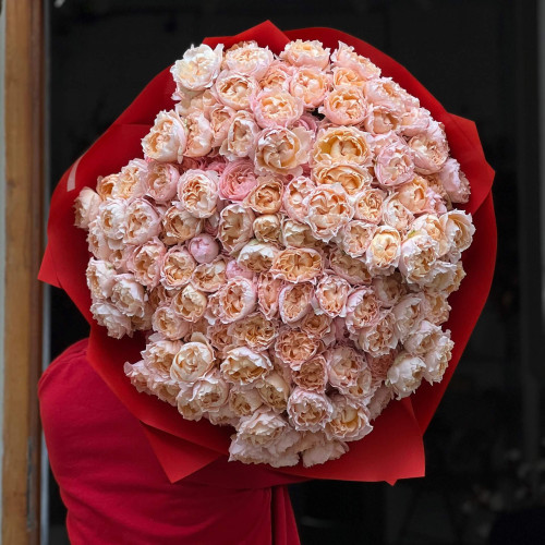 Розкішний букет із 61 гілки кущової півонієвидної троянди Juliet «Чарівні мрії»