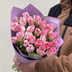 25 рожевих бахромчастих тюльпанів у букеті «Повітряний цьом»