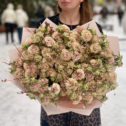 Luxurious bouquet with 19 stems of spray peony roses «Bronze Mocha»