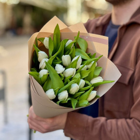 17 класичних тюльпанів у букеті «Зимова посмішка»