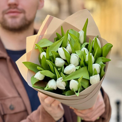 17 класичних тюльпанів у букеті «Зимова посмішка»