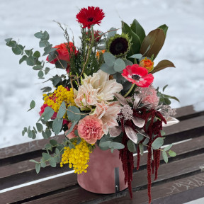 Кольорова композиція в коробці з гіпеаструмом «Яскравий дарунок»