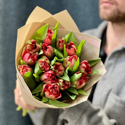15 піоновидних тюльпанів сорту Red Velvet у букеті «Чарівний оксамит»