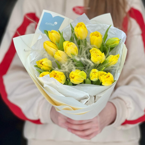 15 тюльпанів зі стіфою у букеті «Золотиста павутинка»