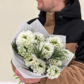 11 незвичайних ранункулюсів Pon Pon Igloo і пінус у букеті «Лаймова свіжість»