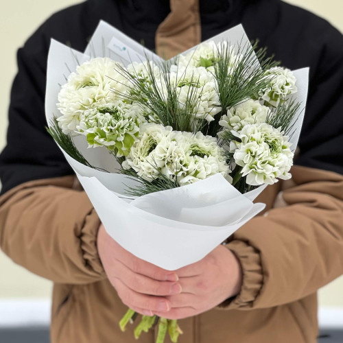 11 незвичайних ранункулюсів Pon Pon Igloo і пінус у букеті «Лаймова свіжість»